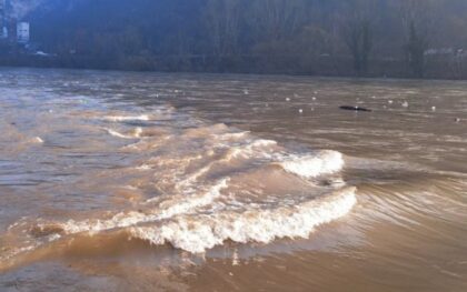 Plutajuća deponija na Drini: Vodostaj u blagom porastu VIDEO