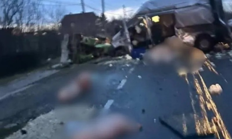 Sudar traktora, kombija i automobila: Prasići stradali u jezivoj saobraćajnoj nesreći