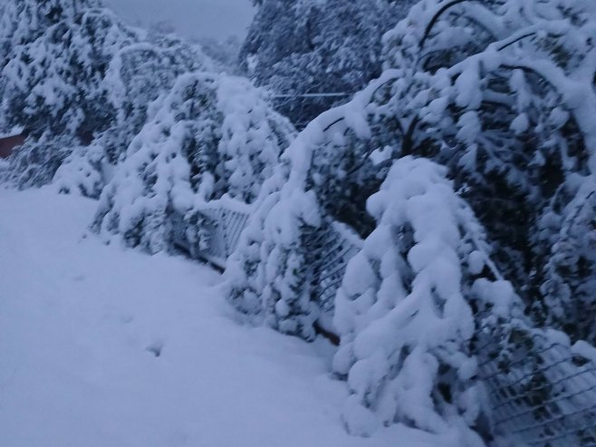 Najviše posla bilo zbog oborenih stabala: Snijeg uzrokovao vanrednu situaciju u devet opština