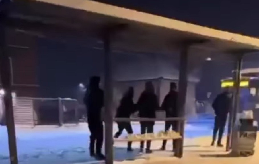 Uznemirujuće! Gađali vozača autobusa grudvama, on izašao sa šipkom u rukama VIDEO