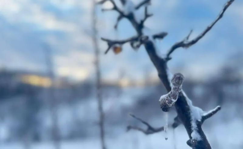 Nevjerovatan prizor u centru grada: Između smetova snijega pojavila se ona VIDEO