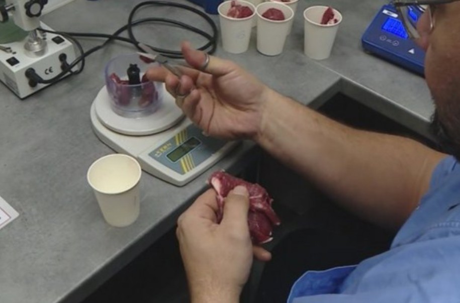 Sprovode se kvalitetne mjere: U Srpskoj nema ni jednog žarišta afričke kuge svinja