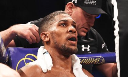 Naslovna slika br 44