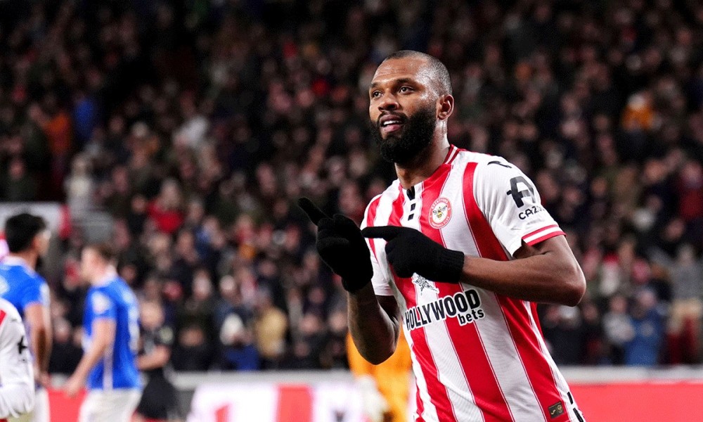 Naslovna slika br 41