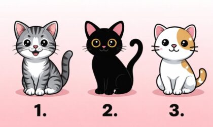 Naslovna slika br 27