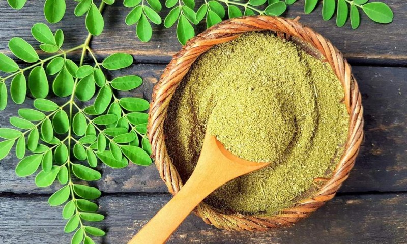 Šta je moringa: Uz ovu biljku je Fidel Kastro godinama živio s rakom pankreasa