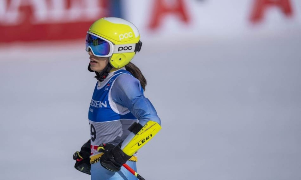 Naslovna slika br 42