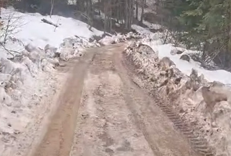 Bodiroga uputio poziv vlastima: Prođite ovim putem VIDEO