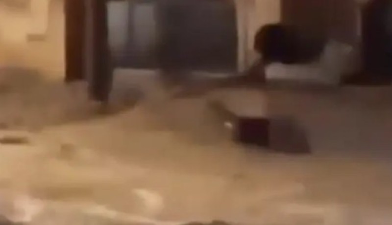 U poplavama stradalo 46 ljudi! Kovčezi u bujici na ulicama VIDEO