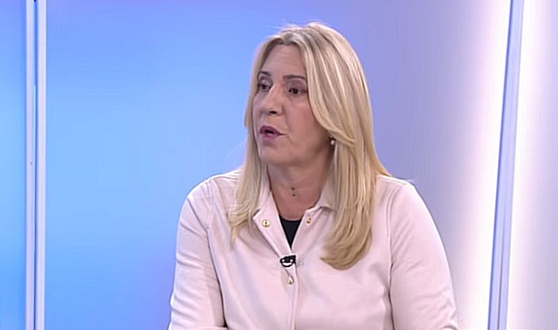 Cvijanović: Naša misija je da se Srpska vidi u svijetu, postali smo kredibilni partneri VIDEO