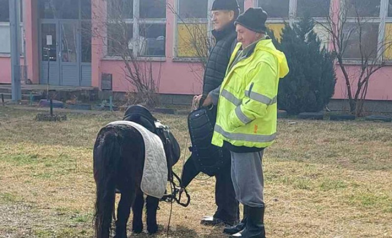 Prava mala atrakcija u selu: Djed svakodnevno dolazi po unuku u školu – i to sa ponijem FOTO