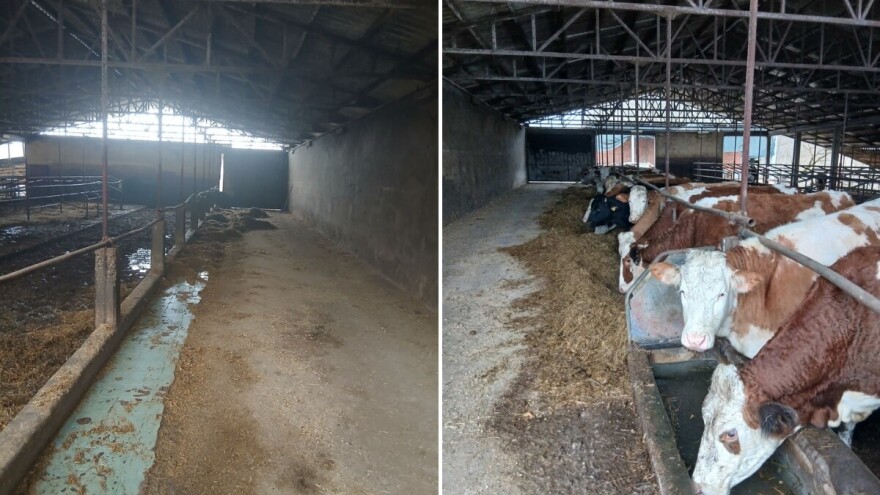 Farma iz Gradiške ugasila proizvodnju: Krave prodali kolegi u FBiH