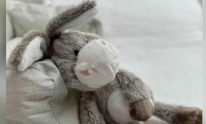 Igračka za djecu skinuta sa rafova: Proizvod povučen zbog rizika od davljenja