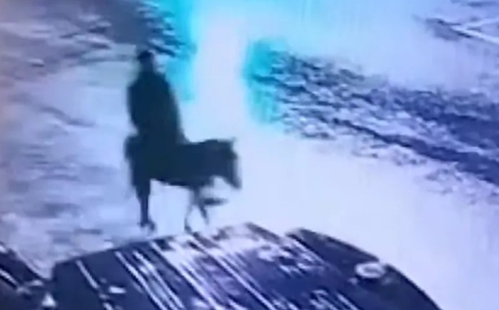 Nadrealna scena! Viljuškarom provalio u zlataru – ukrao dragocjenosti pa pobjegao na magarcu VIDEO