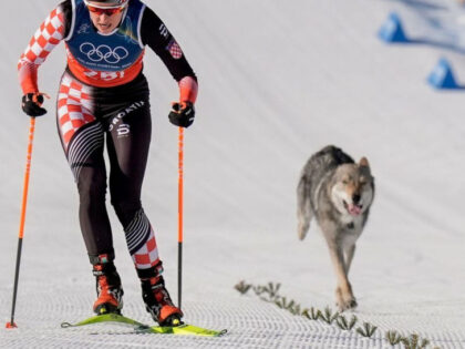 Naslovna slika br 56