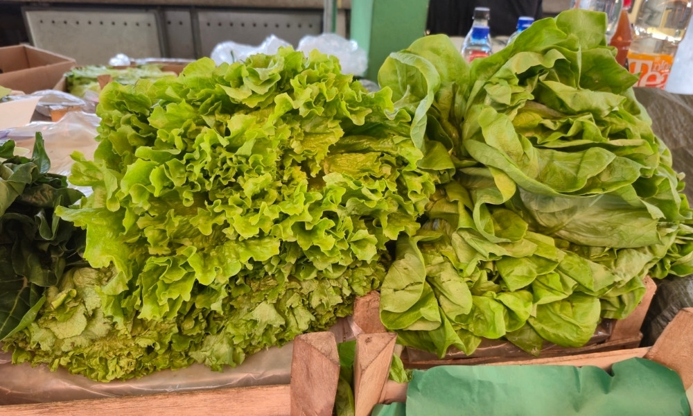 Povrće kao da je od zlata: U Crnoj Gori zelena salata skuplja za 180 odsto