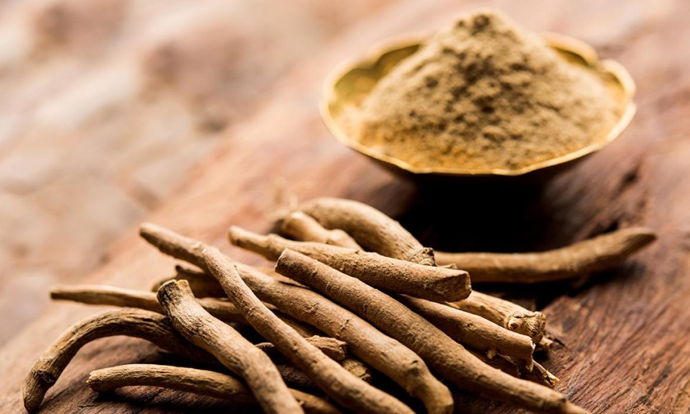 Brži tempo života: Ašvaganda sve popularnija među mlađom generacijom