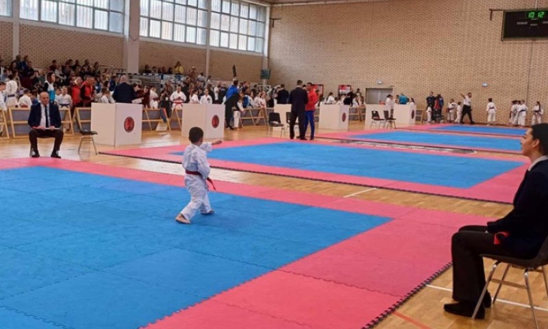 Naslovna slika br 42