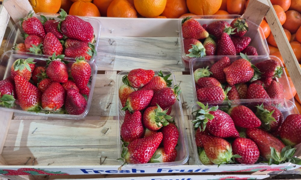 Oprez sa jagodama: Stručnjaci otkrili koja je dnevna doza idealna, a ko bi ih trebao izbjegavati