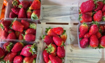 Tri fantastična razloga zašto treba da jedete jagode: Srce je prvi