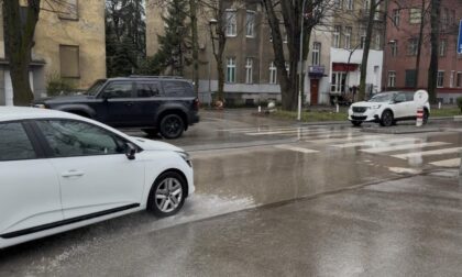 Naslovna slika br 12