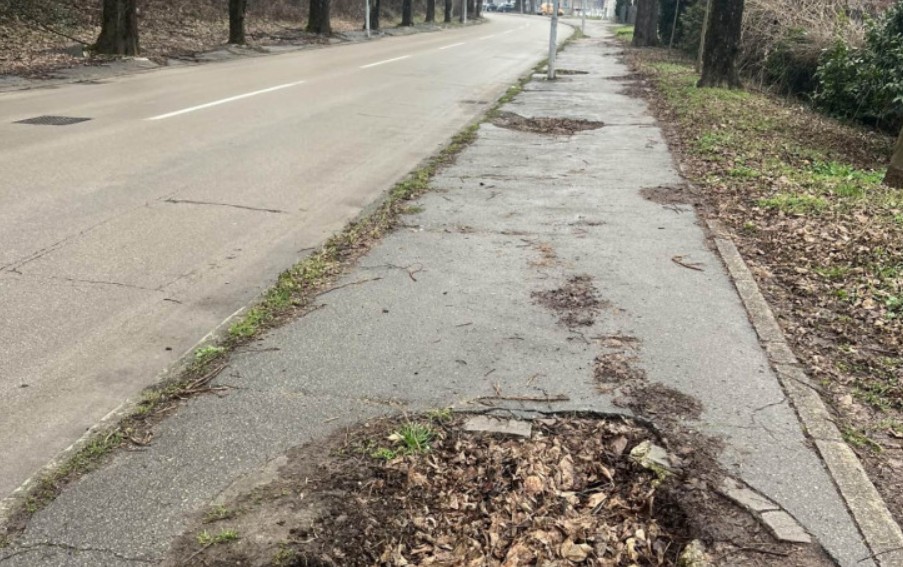 Pretvoreno u “dolinu panjeva”: Nestaje jedan od najstarijih drvoreda u Banjaluci