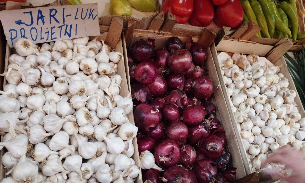 Ovo vam je najbolja sorta! Počela sadnja, u Banjaluci se traži samo ovaj luk