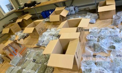 “Pao” na granici: Prevozio u kamionu 90 kilograma marihuane