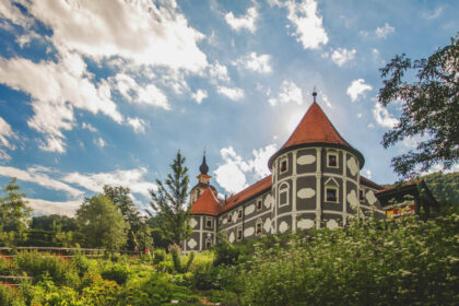 Naslovna slika br 57