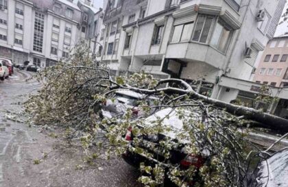 Puklo pod težinom snijega: Palo drvo na automobile u Banjaluci FOTO