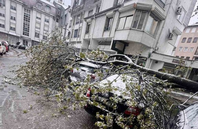 Puklo pod težinom snijega: Palo drvo na automobile u Banjaluci FOTO