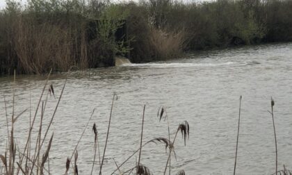 Sava na granici maksimuma: Hoće li kiša promijeniti sve