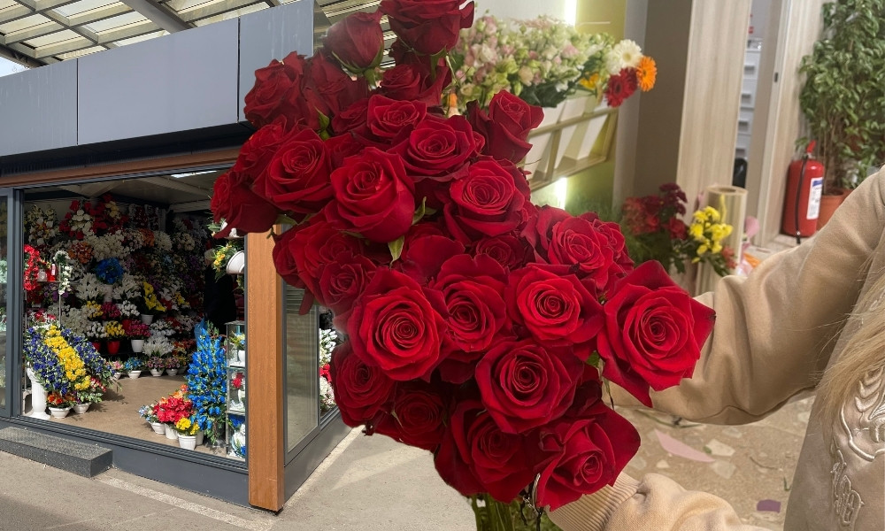 U Banjaluci čak 50.000 cvjetova na jednom mjestu! Ide Osmi mart, pogledajte cijene FOTO