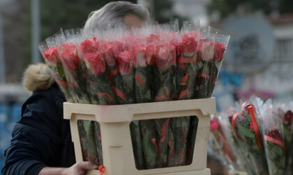 Naslovna slika br 10