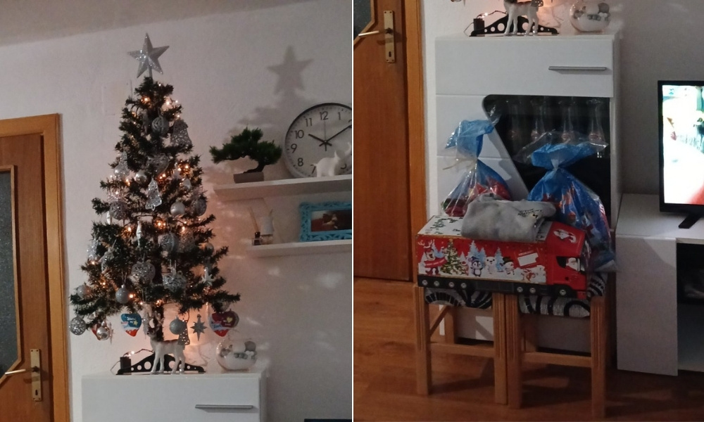 Milorad vidio snijeg u martu pa okitio jelku: Ljudi mu odmah počeli čestitati Novu godinu FOTO