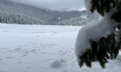 Zima se ne predaje: Više od 20 centimetara snijega na Žabljaku