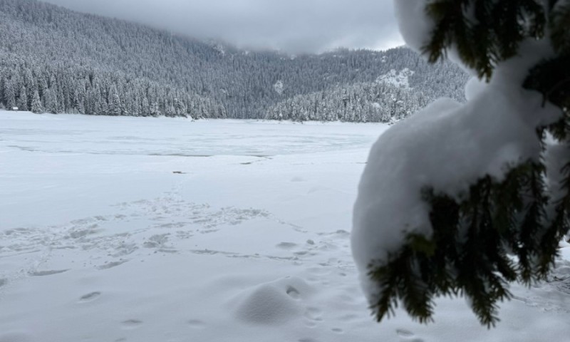 Zima se ne predaje: Više od 20 centimetara snijega na Žabljaku