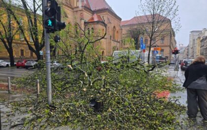 Više osoba povrijeđeno: U Zagrebu pod naletom vjetrova padala stabla i kablovi