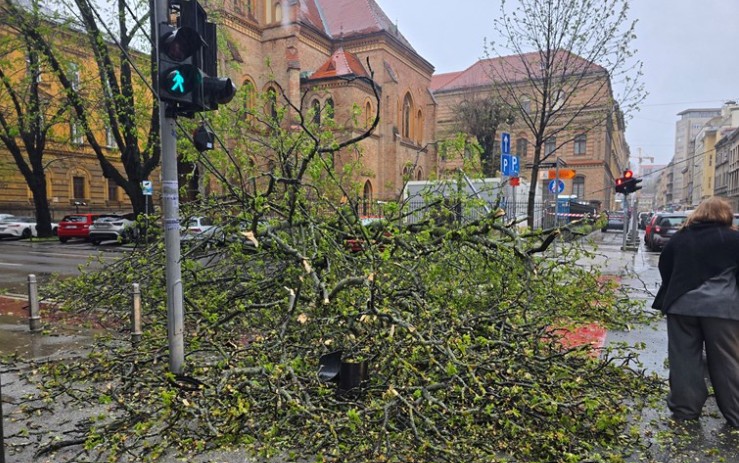 Više osoba povrijeđeno: U Zagrebu pod naletom vjetrova padala stabla i kablovi