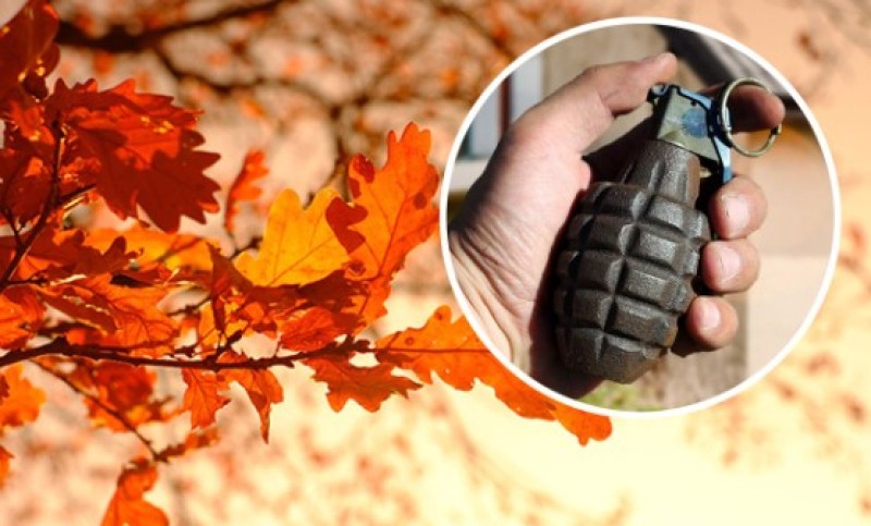 Ugrozio članove porodice: Na Badnji dan iz kuće iznio bombu, kod njega nađen arsenal oružja