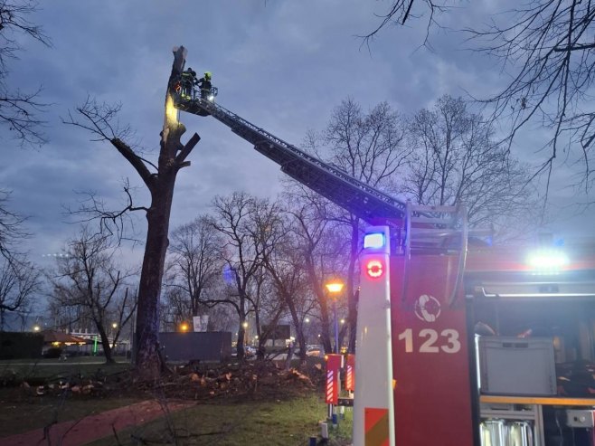 Drama u Banjaluci: Grom udario u drvo u parku, intervenisali vatrogasci FOTO