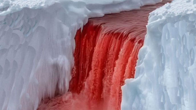 Da li biste posjetili Krvavi vodopad: Jedinstveno djelo prirode na Antarktiku VIDEO