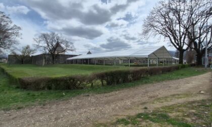 Naslovna slika br 14