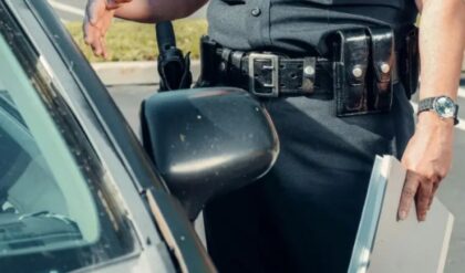 Naslovna slika br 56