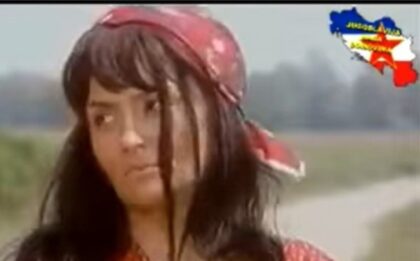 Naslovna slika br 48