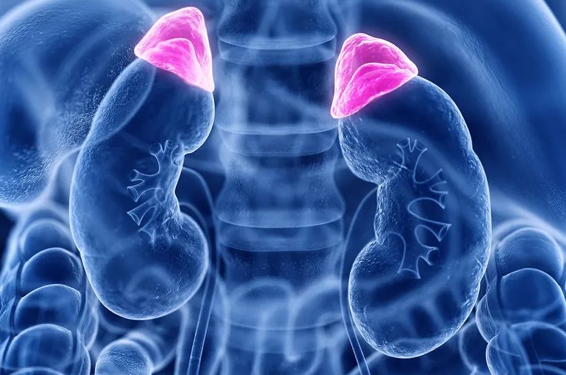 Ljekarima na Vaskrs pune ruke posla i nije naivno: “Otkazuju, bubrezi, pluća, srce”