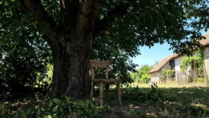 Naslovna slika br 47