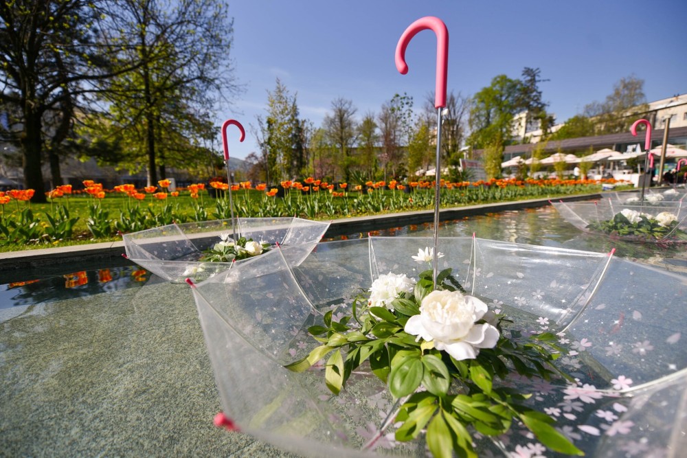 Naslovna slika br 54