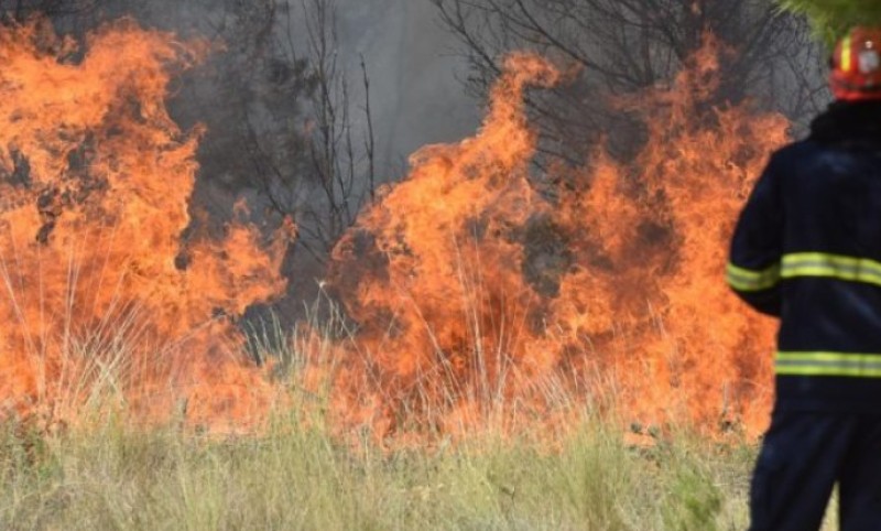 Vatrogascima pune ruke posla: Sve češći požari zbog paljenja korova – građani upozoreni