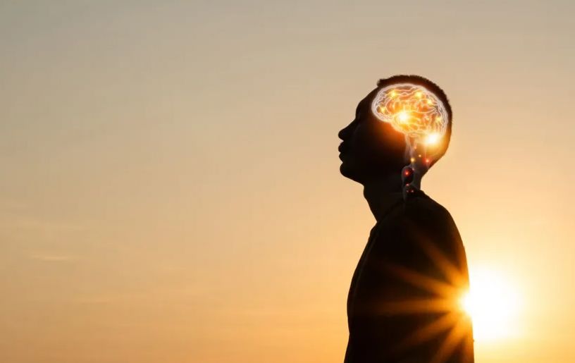 Anksioznost kao posljedica manjka holina, koje namirnice imaju najviše materije bitne za rad mozga, jetre